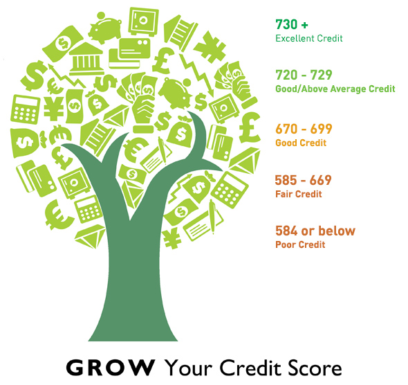 Grow Your Credit Score FICO