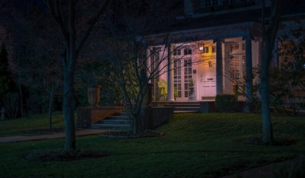 Trees near a house, illuminated by a lantern